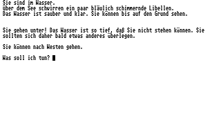 Zaubertrank (Der) atari screenshot